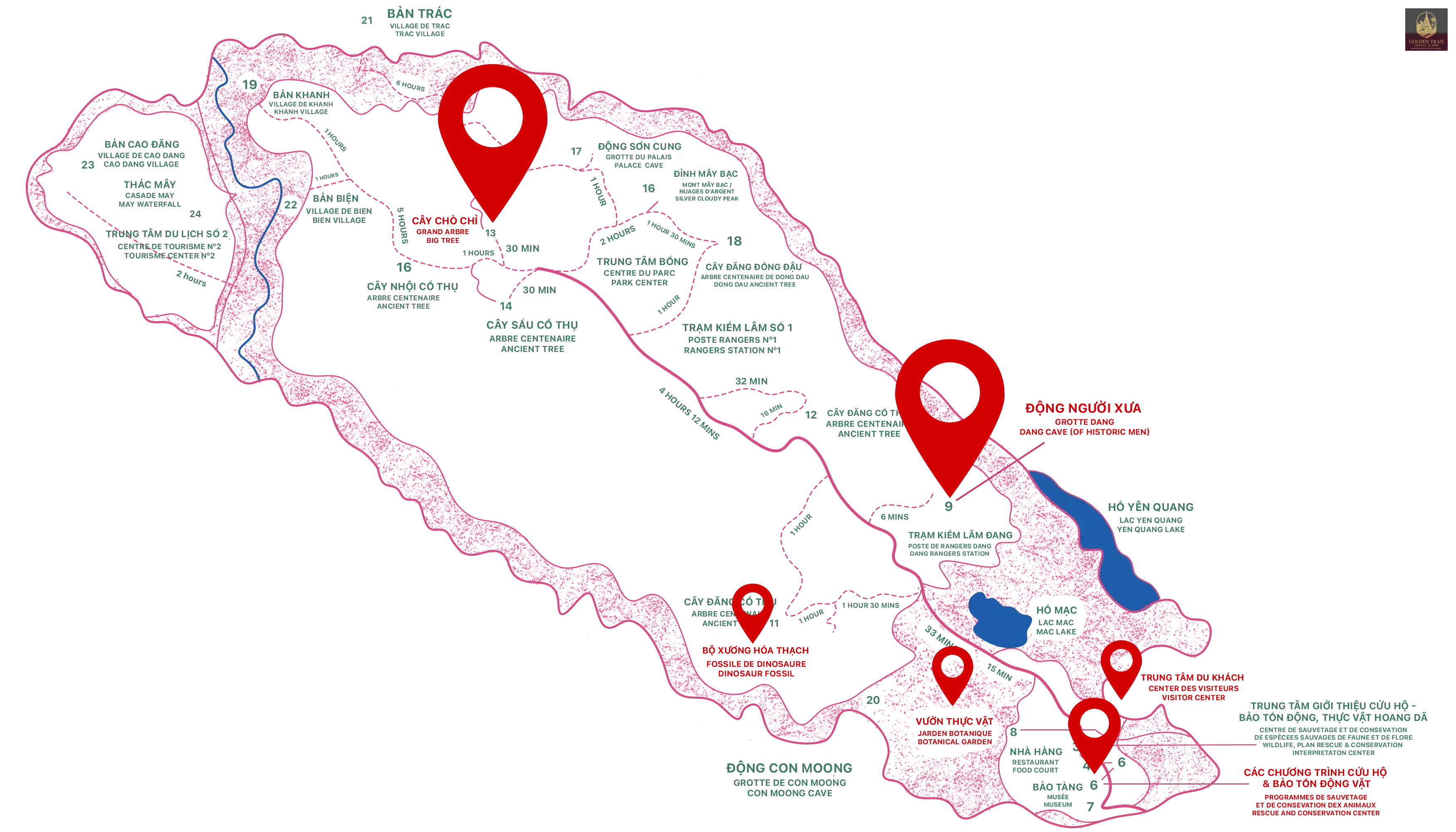 Cuc Phuong National Park 2-Day Tour: Past Relics & Wild Nature